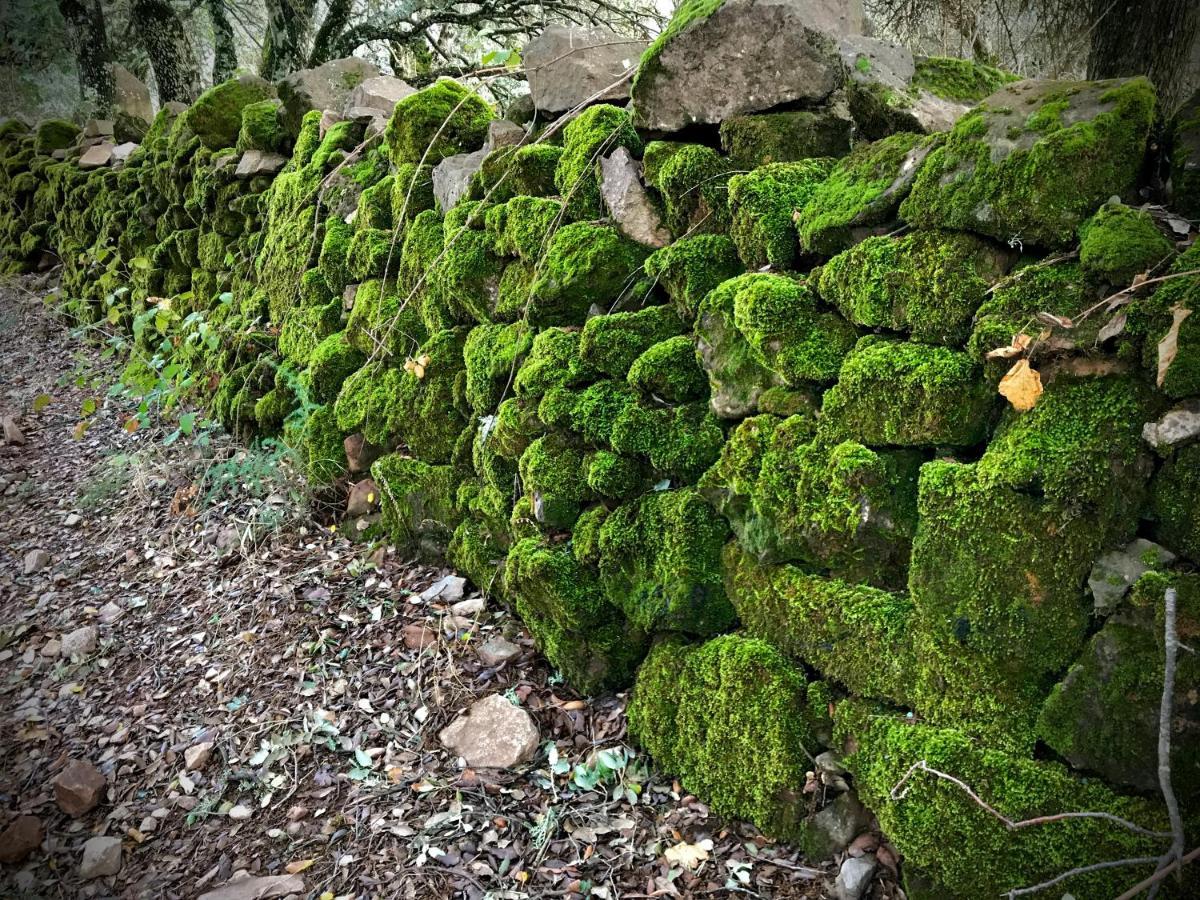Casa Rural Sierra Tortola 1 Hinojales Dış mekan fotoğraf